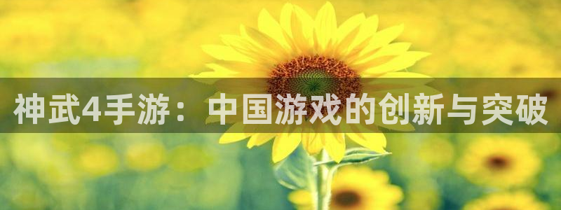 28大神报数：神武4手游：中国游戏的创新与突破