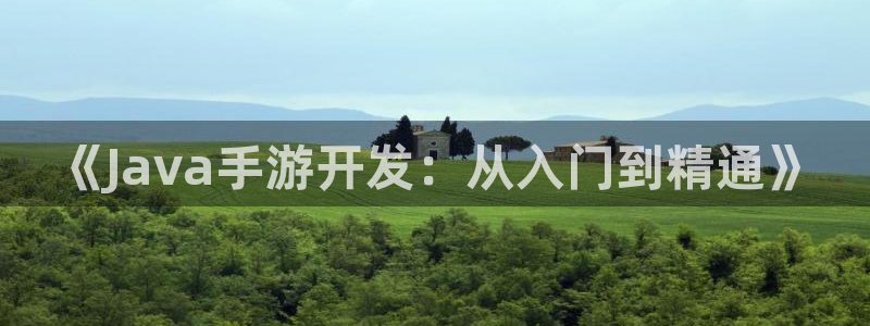 雷火电竞杀最厉害三个组合是谁：《Java手游开发：从入门到精