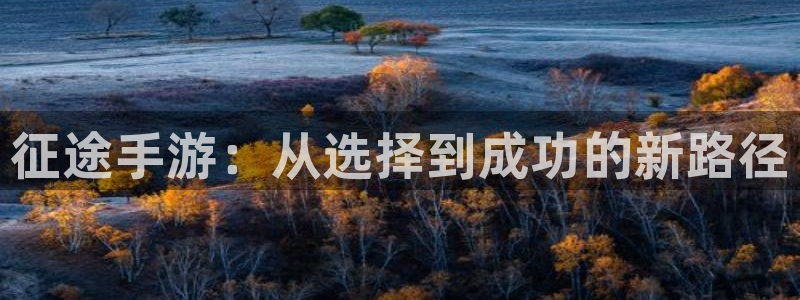 28大神开奖预测：征途手游：从选择到成功的新路径