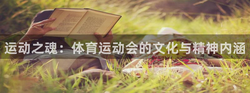 678体育官网