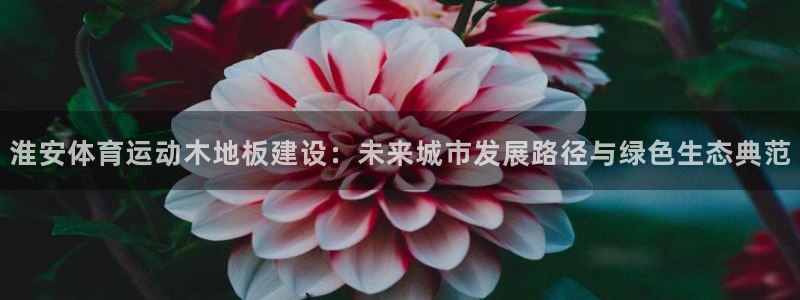 678体育知识：淮安体育运动木地板建设：未来城市发展路径与绿色生态典范