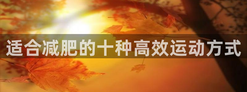 678体育知识：适合减肥的十种高效运动方式