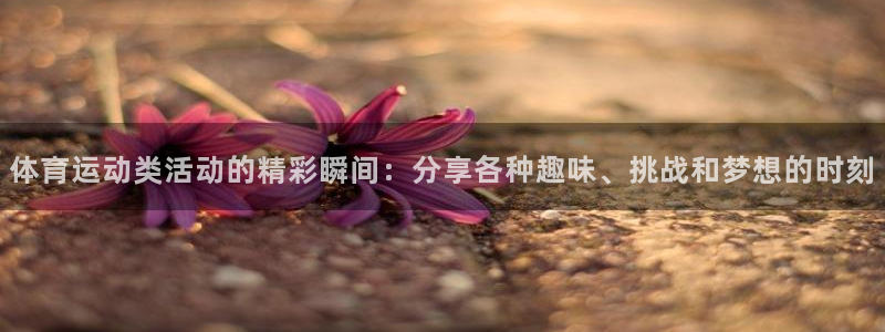 皇冠678体育