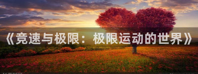 678体育官网