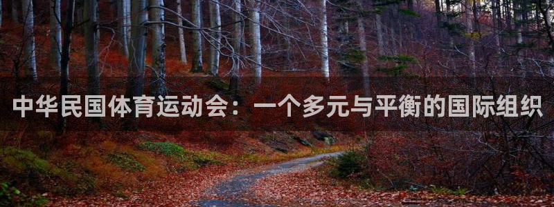 678体育app