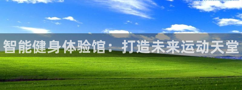 678体育官网地址