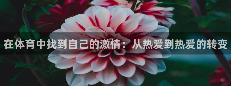 678体育官网地址：在体育中找到自己的激情：从热爱到热爱的转变