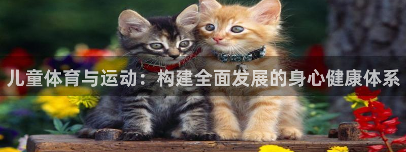 皇冠678体育：儿童体育与运动：构建全面发展的身心健康体系