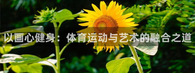 678体育知识：以画心健身：体育运动与艺术的融合之道
