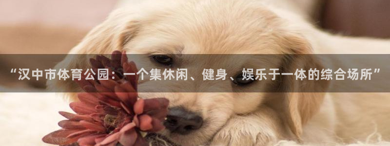 678体育app：“汉中市体育公园：一个集休闲、健身、娱乐于一体的综合场所”